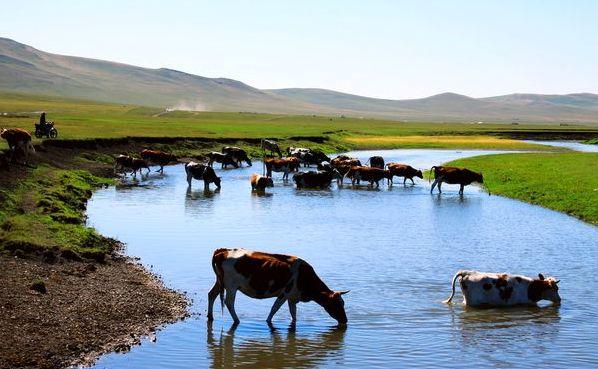 内蒙古，草原之韵与文化魅力展现